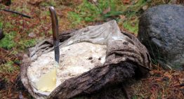 DIY Bog Butter: A Gastronomic Perspective