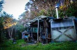This Forest Den Home Only Cost $12 to Build