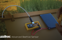 The Biggest News For Beekeepers In This Century?